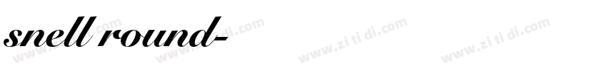 snell round字体转换
